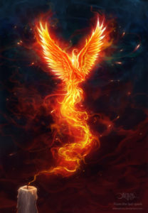 phoenix bird on fire