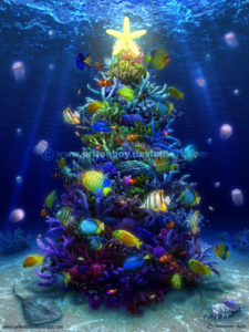 christmas coral