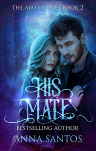 lovers romantic couple in love soul mates life partners