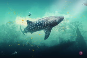 underwater inspiration