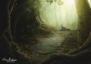 fox forest magical